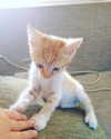lotembar Altpins Profile Picture