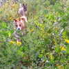 lotembar Altpins Profile Picture