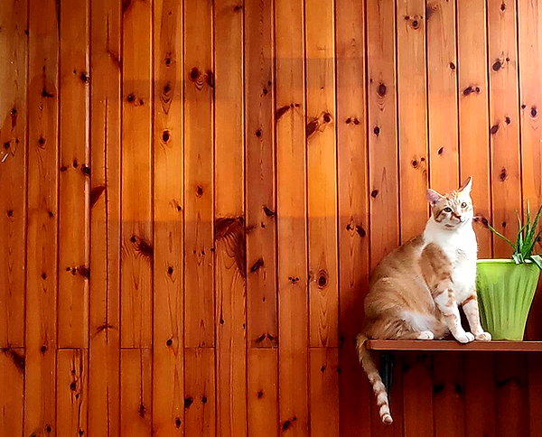 lotembar instagram image archive image