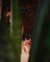 lotembar Altpins Profile Picture