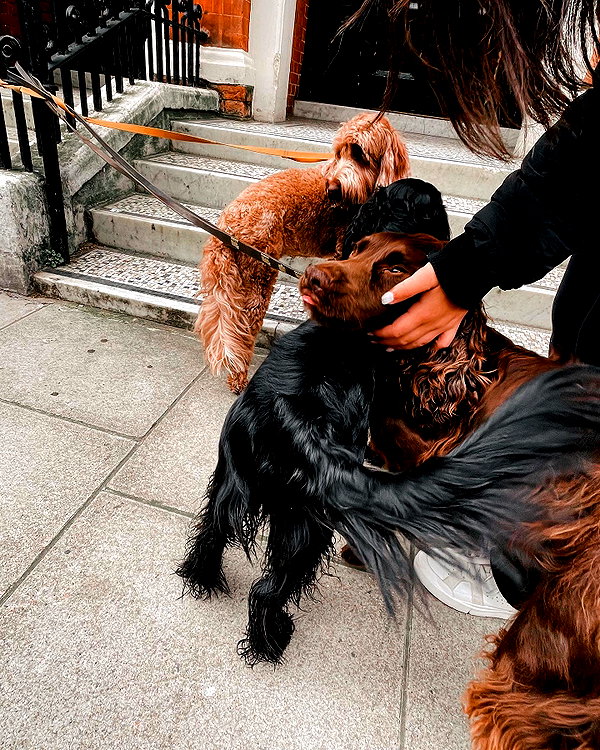lotembar instagram image archive image