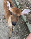 lotembar Altpins Profile Picture