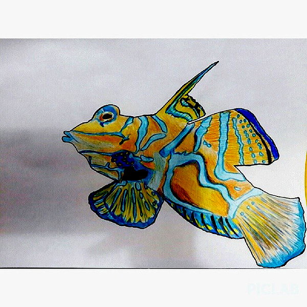 lotembar instagram image archive image