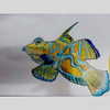 lotembar Altpins Profile Picture