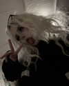 lsdxsx Altpins Profile Picture