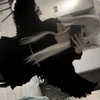 lsdxsx Altpins Profile Picture