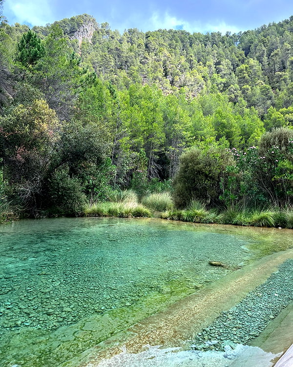luciaaferrato instagram image archive image