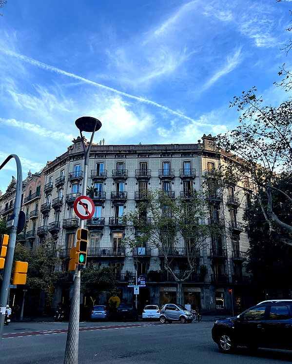 luciaaferrato instagram image archive image