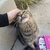 luna.havri Altpins Profile Picture
