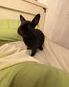 luna.havri Altpins Profile Picture