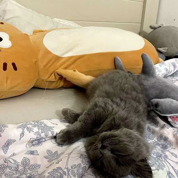 luna.havri instagram image archive image