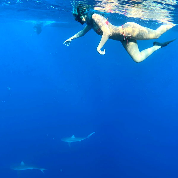 luvstruck instagram image archive image