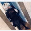 lux_shojo_ Altpins Profile Picture