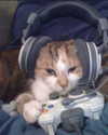 lyracr0w0 Altpins Profile Picture