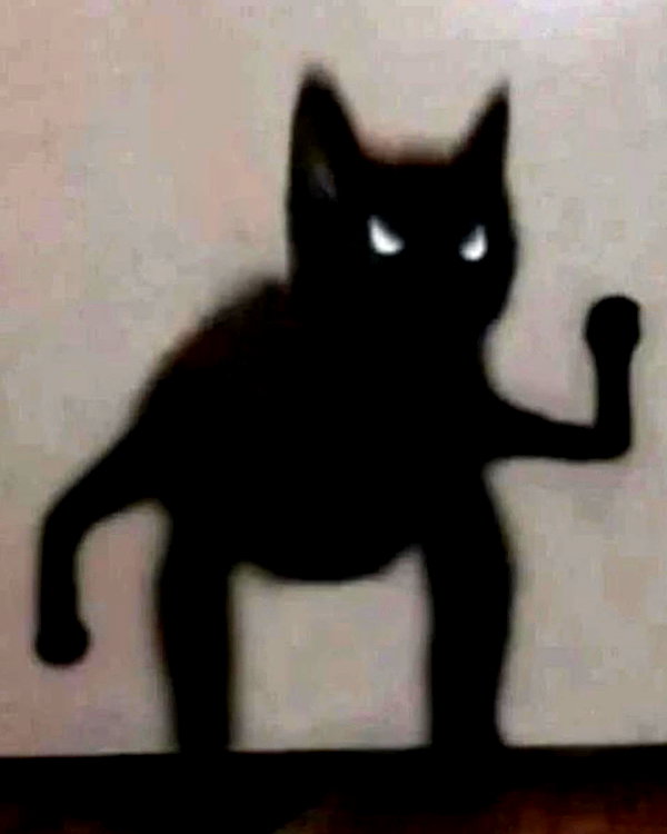 lyracr0w0 instagram image archive image