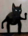lyracr0w0 Altpins Profile Picture