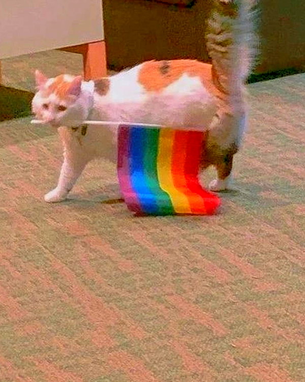 lyracr0w0 instagram image archive image