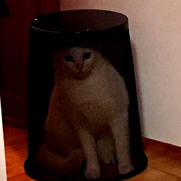 lyracr0w0 instagram image archive image