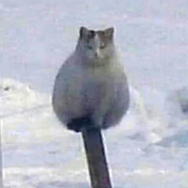 lyracr0w0 instagram image archive image