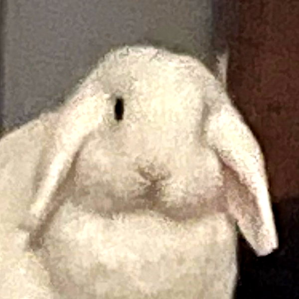 lyracr0w0 instagram image archive image