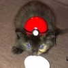 lyracr0w0 Altpins Profile Picture
