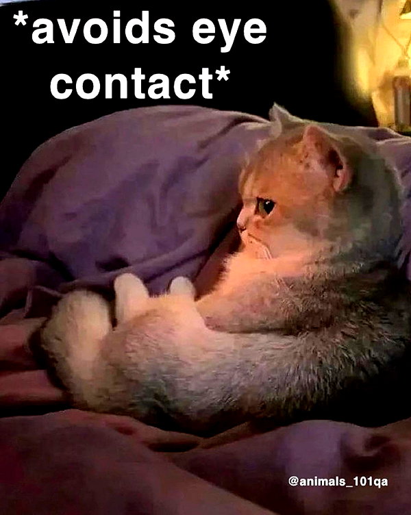 lyracr0w0 instagram image archive image
