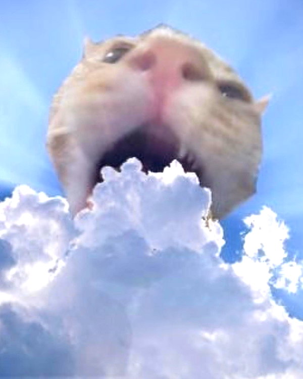 lyracr0w0 instagram image archive image