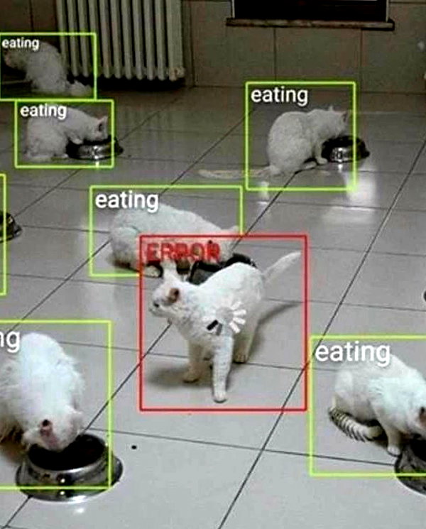 lyracr0w0 instagram image archive image