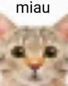 lyracr0w0 Altpins Profile Picture