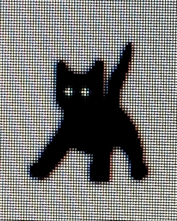 lyracr0w0 instagram image archive image
