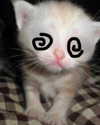 lyracr0w0 Altpins Profile Picture