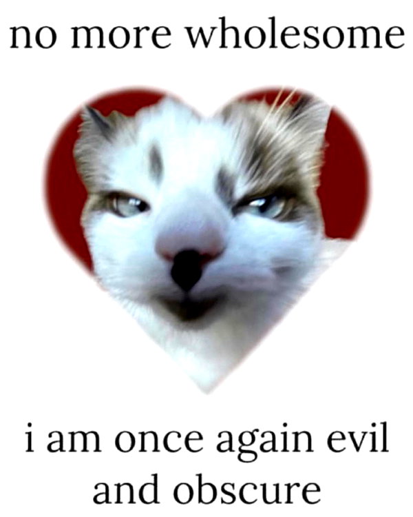 lyracr0w0 instagram image archive image