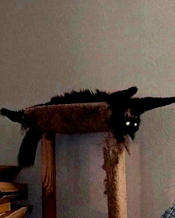 lyracr0w0 instagram image archive image