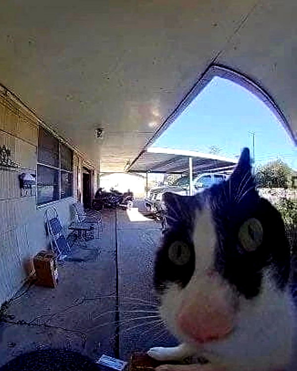 lyracr0w0 instagram image archive image