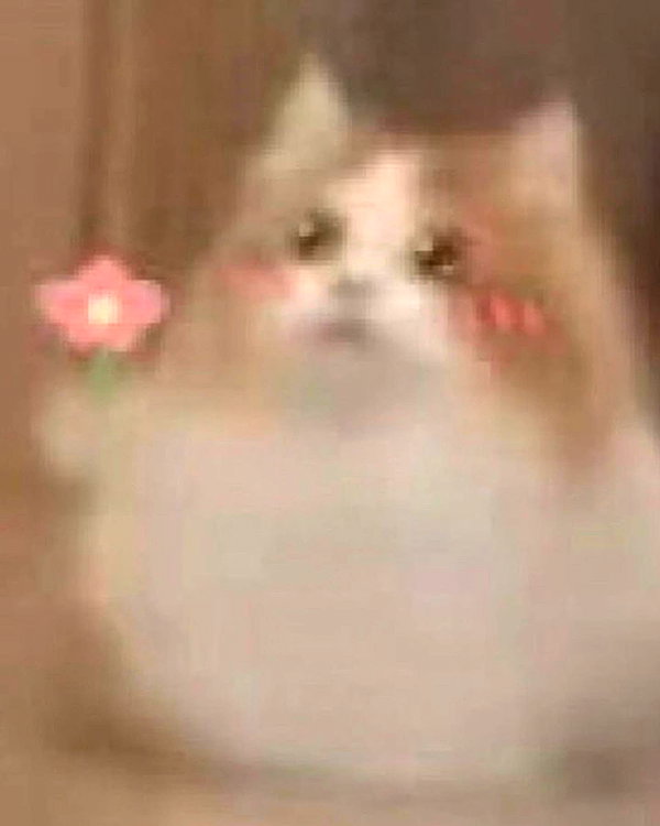lyracr0w0 instagram image archive image