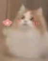 lyracr0w0 Altpins Profile Picture