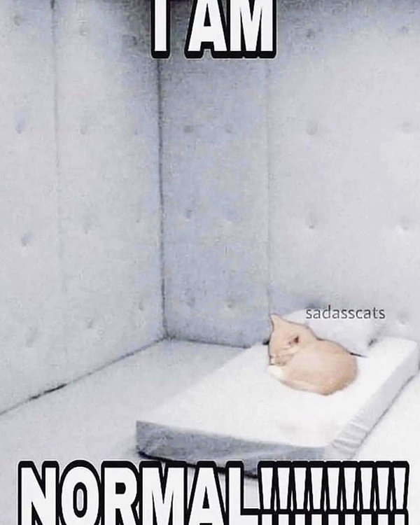 lyracr0w0 instagram image archive image