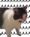 lyracr0w0 Altpins Profile Picture
