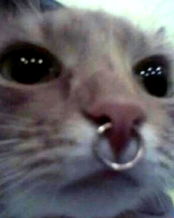 lyracr0w0 instagram image archive image