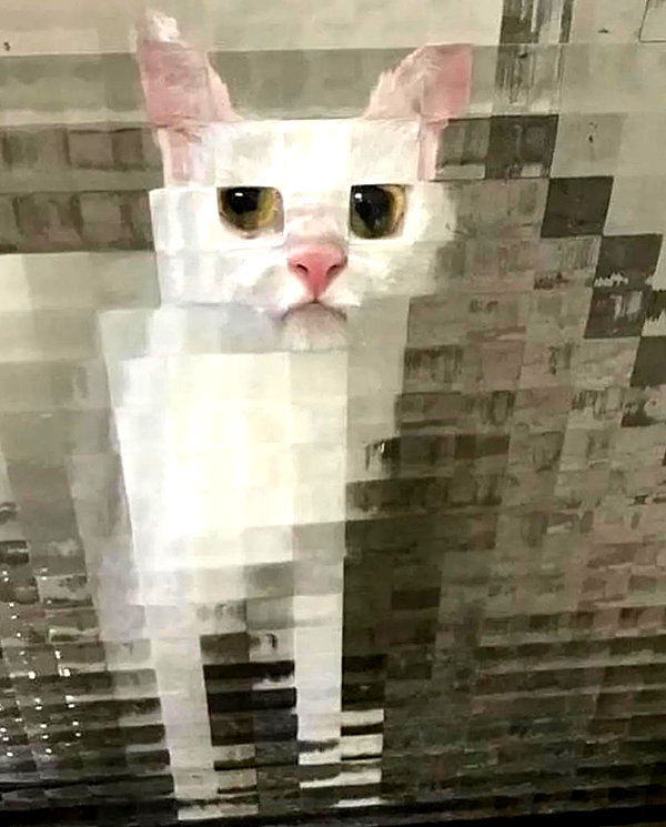 lyracr0w0 instagram image archive image