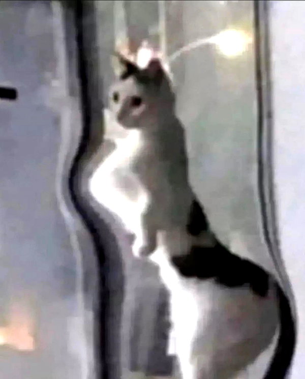 lyracr0w0 instagram image archive image