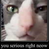 lyracr0w0 Altpins Profile Picture