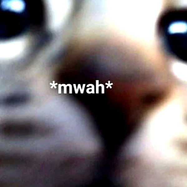 lyracr0w0 instagram image archive image