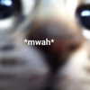 lyracr0w0 Altpins Profile Picture