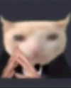 lyracr0w0 Altpins Profile Picture