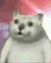 lyracr0w0 Altpins Profile Picture