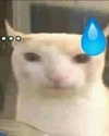 lyracr0w0 Altpins Profile Picture