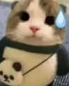 lyracr0w0 Altpins Profile Picture