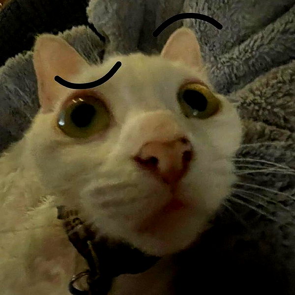 lyracr0w0 instagram image archive image