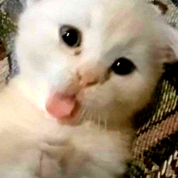 lyracr0w0 instagram image archive image